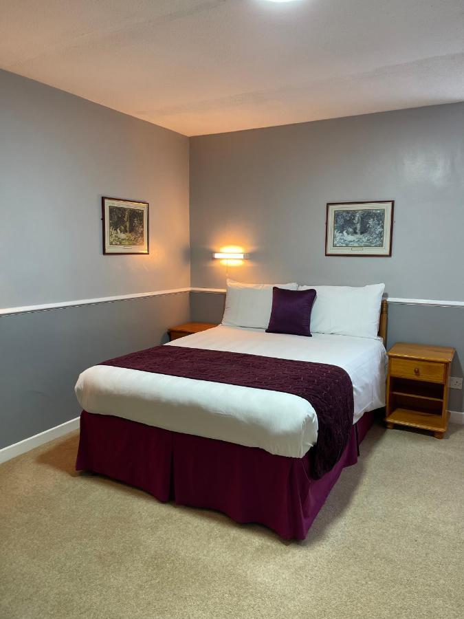 Palm Court B&B Ilfracombe Ngoại thất bức ảnh